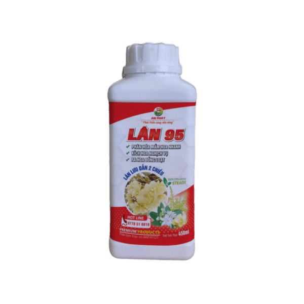 SIÊU PHẨM LÂN 95 Phân hoá mầm hoa nhanh, Kích hoa nghịch vụ, Ra hoa đồng loạt